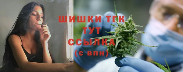 твердый Дмитриев