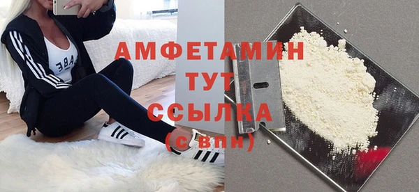 твердый Дмитриев