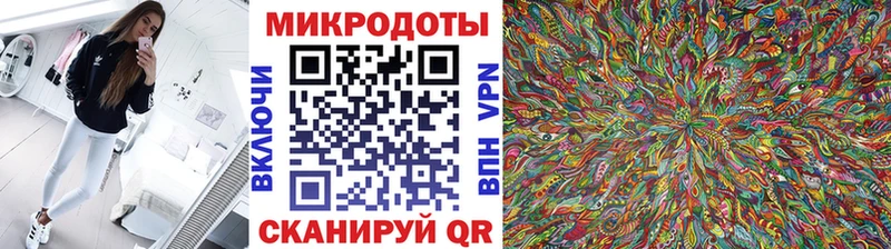 купить наркотик  hydra маркетплейс  Галлюциногенные грибы Psilocybe  Емва 